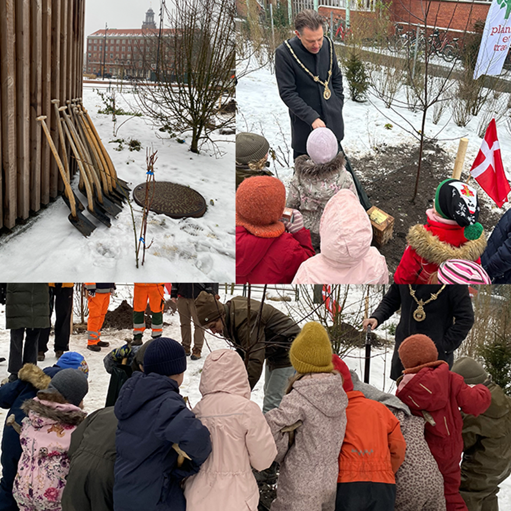 Frederiksberg Hjemmeside