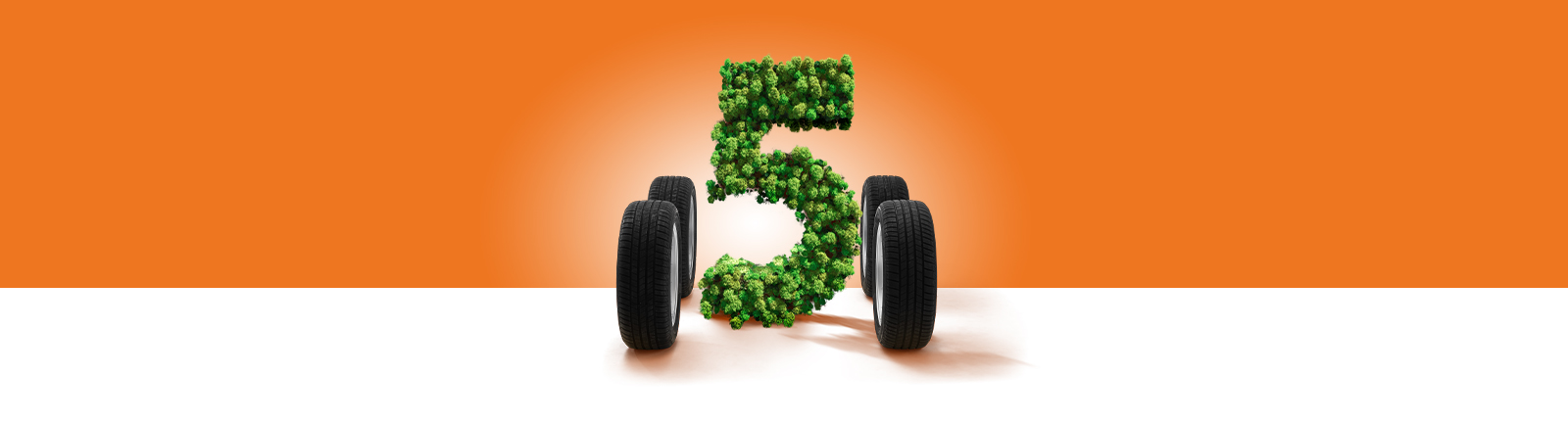 5 Tal Top Banner