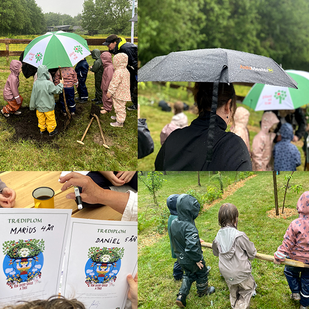 Billede Collage Kopi