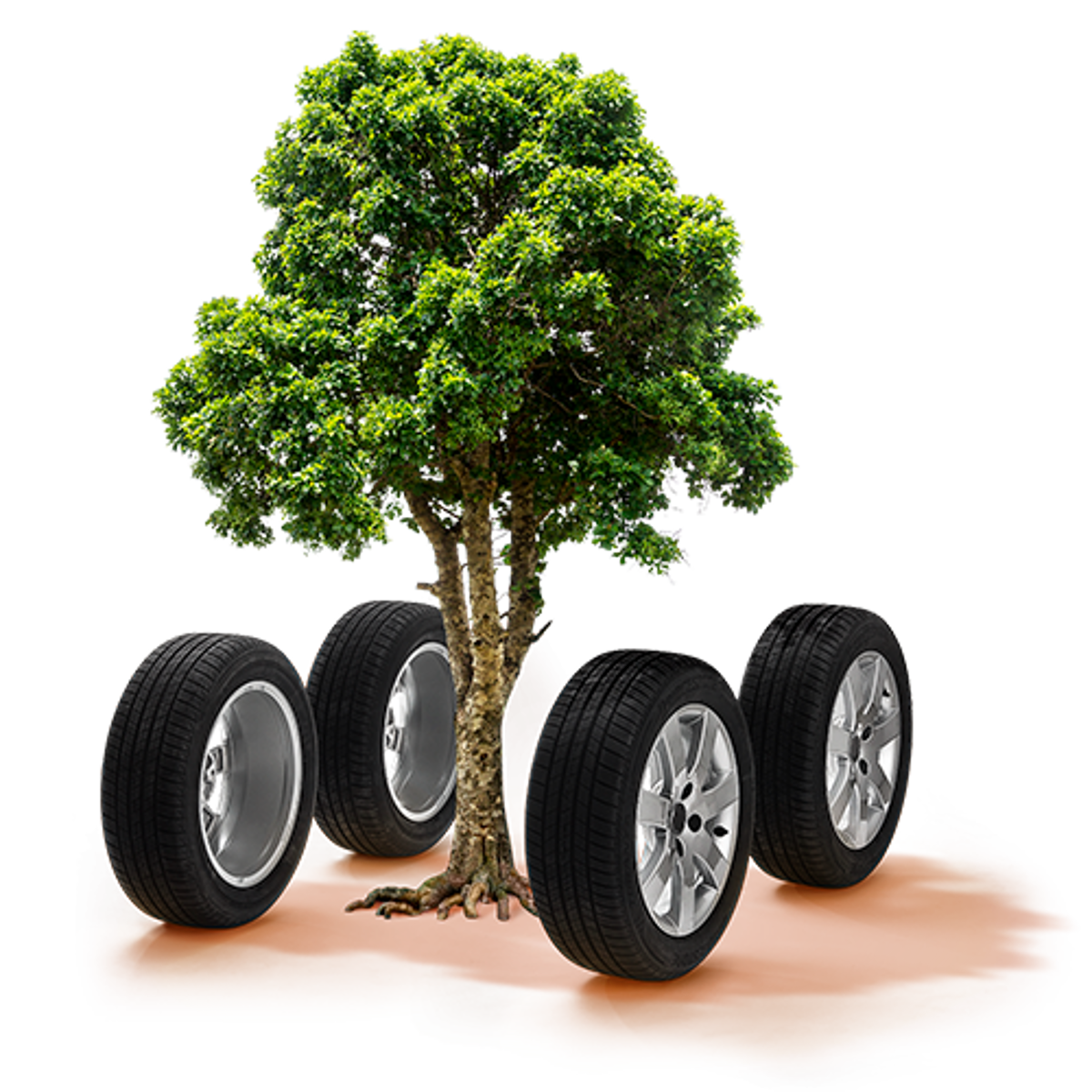 Eplus Trae Orange Skygge