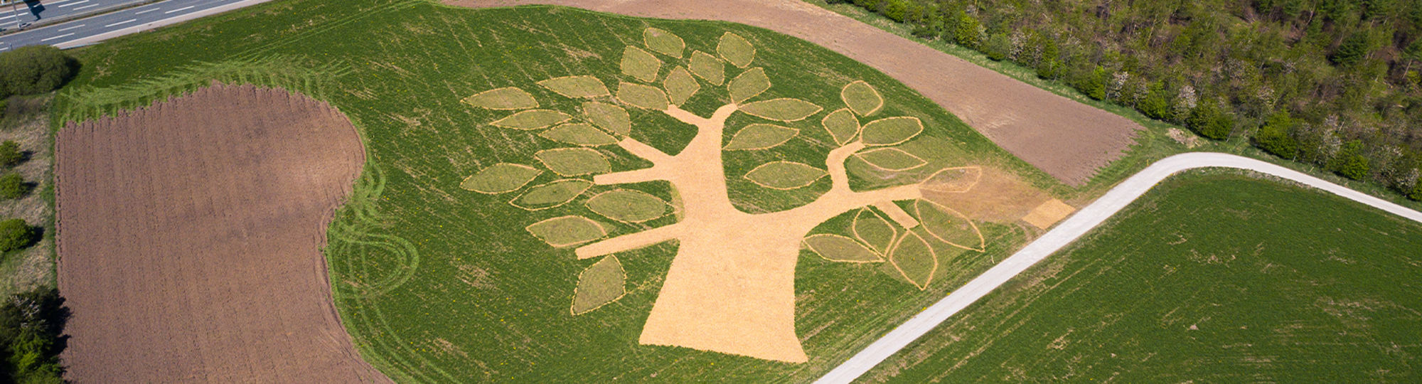 Plant Et Træ Top Banner